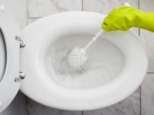 clean-toilet-bowl clean-toilet-bowl