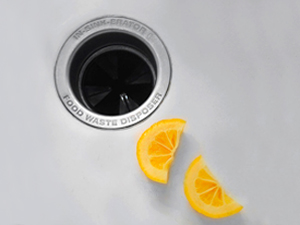freshen-garbage-disposal freshen-garbage-disposal