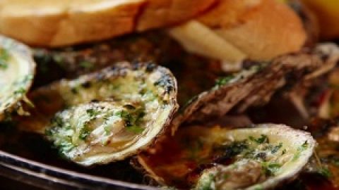 oyster clam