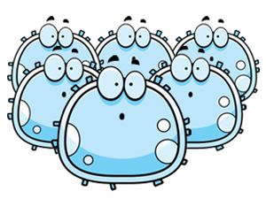 helps-increase-production-of-white-blood-cells helps-increase-production-of-white-blood-cells
