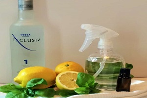 lemon-vodka-diy-air-freshener lemon-vodka-diy-air-freshener