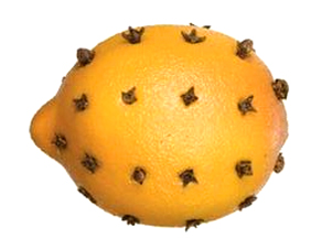 natural-insect-repellent-for-stored-clothing natural-insect-repellent-for-stored-clothing
