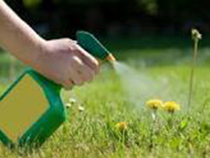 weeds-be-gone weeds-be-gone