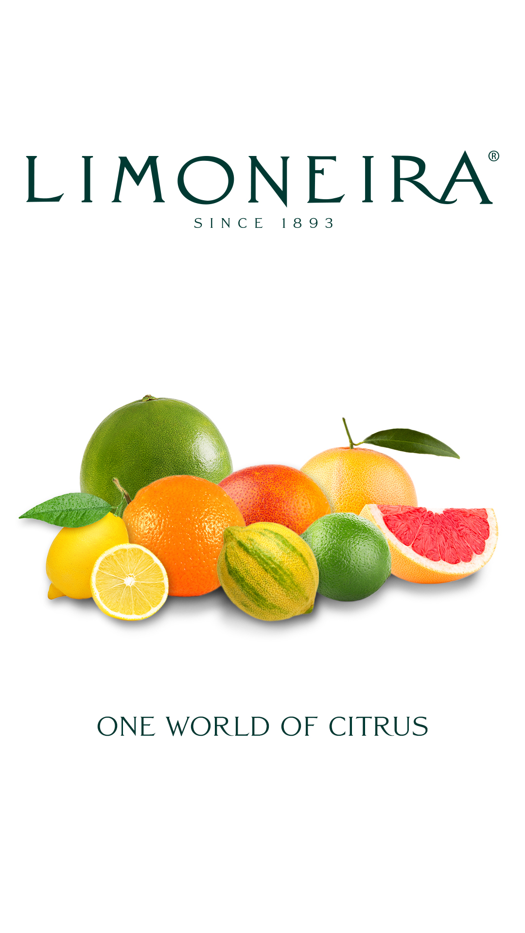 Phone One World of Citrus