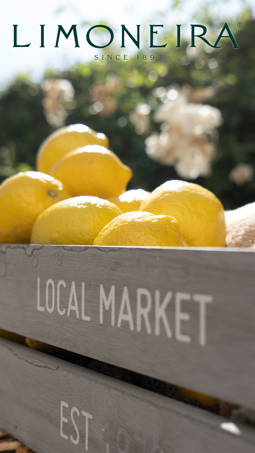 Phone Limoneira Lemons in Crate