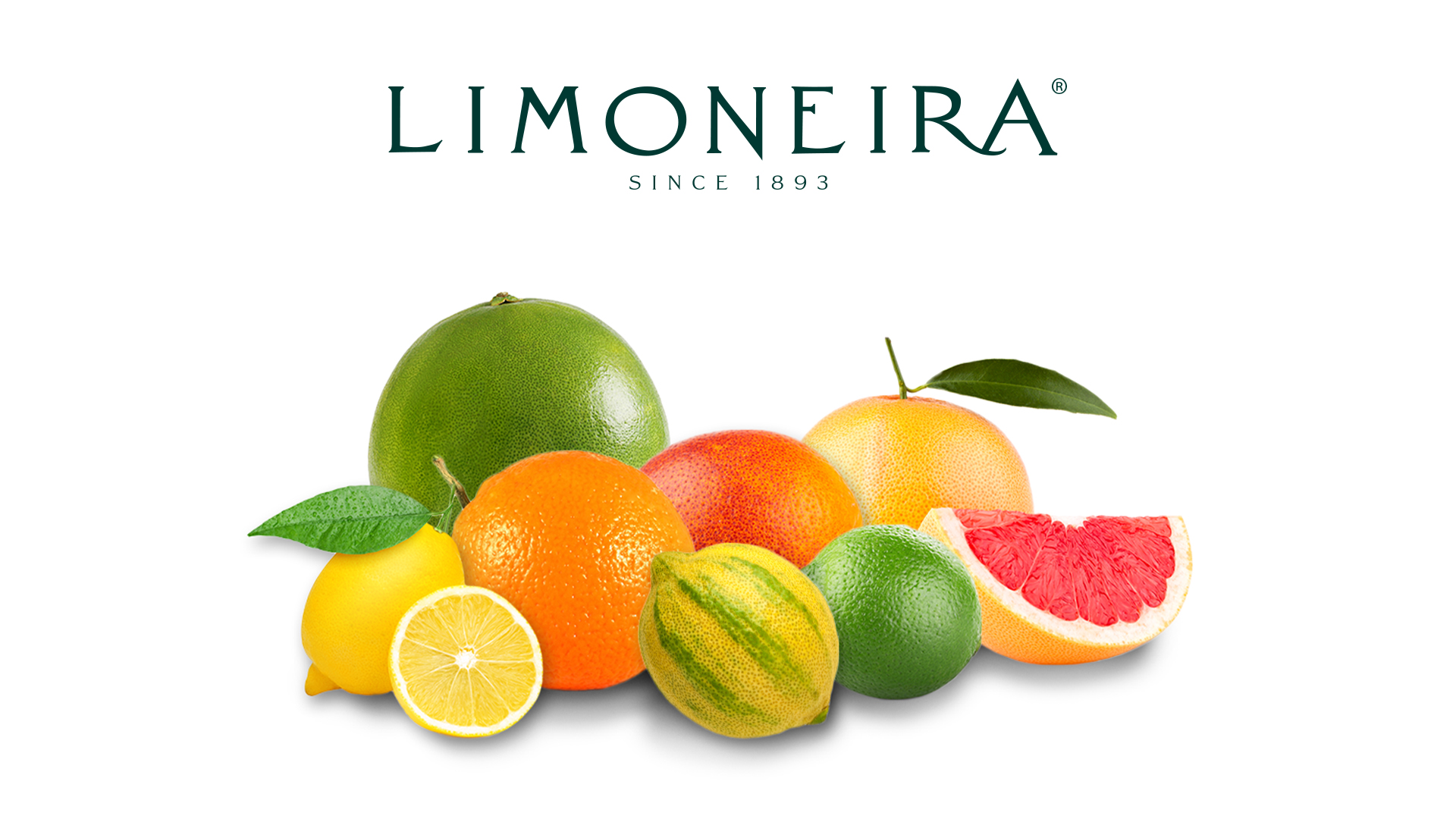 Zoom Background Limoneira Citrus