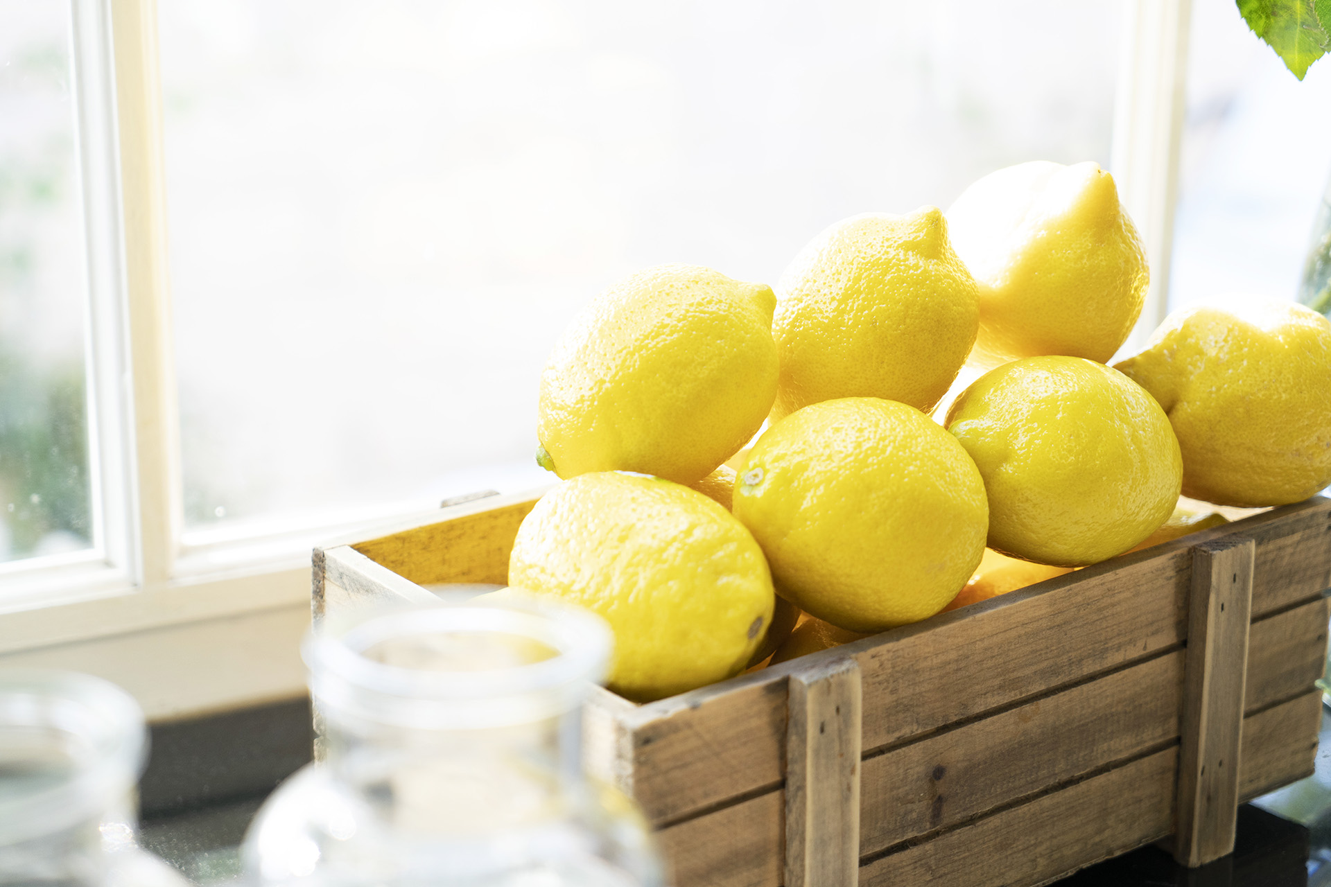 Limoneira Lemons by a Window