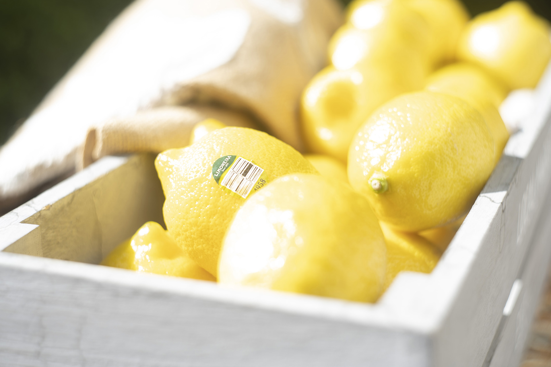 Limoneira Lemons in Crate